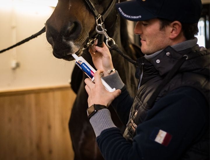 Gastblog Cavalor: Zomer musthaves voor jouw paard