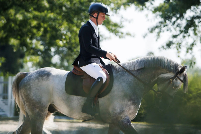 Discover EGO7: Premium equestrian apparel and riding boots at HorseOnline