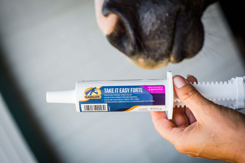 Stress in Sport Horses: Causes, Effects, and Effective Solutions