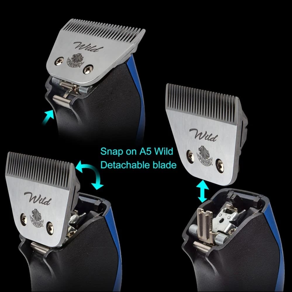 006_da81632a-b784-4588-b6c4-6298cb7328e7_1000x