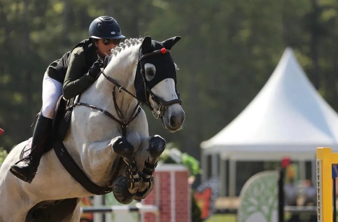 288809482_10159017880361846_5759679430310414043_n-071c4327