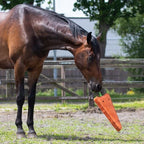 5192wor-3 - kopie - kopie