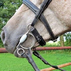 67947586_2309995062371134_7689269075171606528_n-500x500