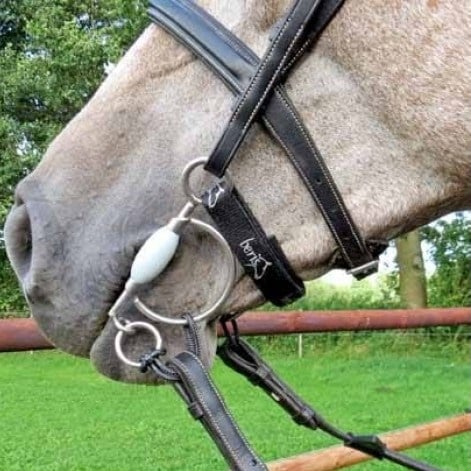 67947586_2309995062371134_7689269075171606528_n-500x500