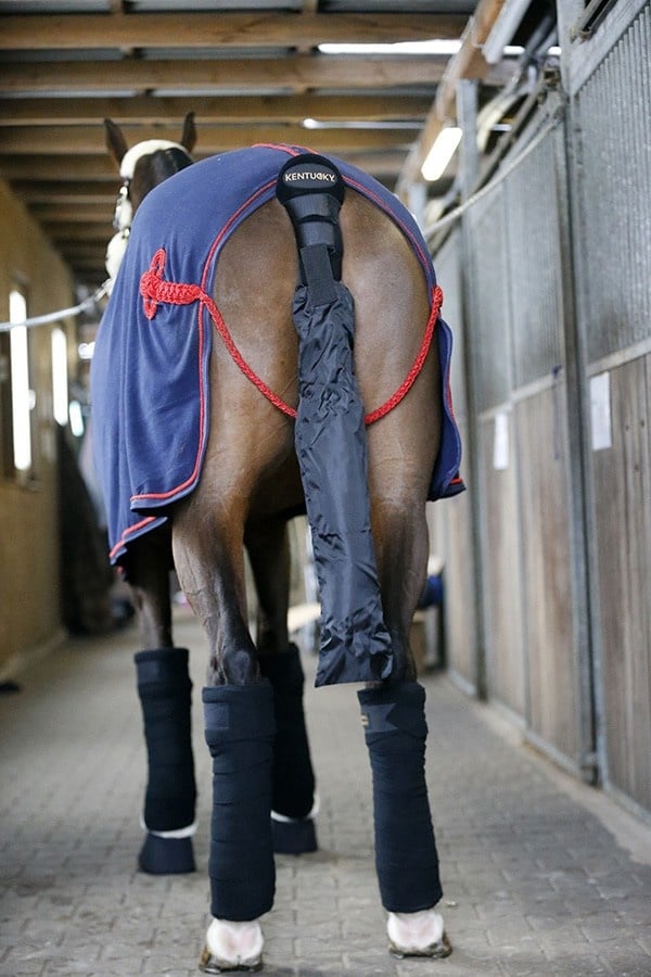 88196_a__1465911158_885