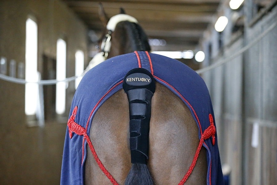 88196_c__1465911158_336