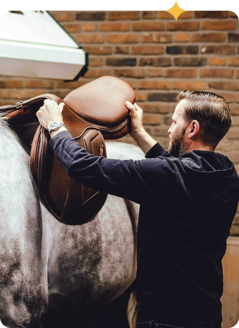 Stübben Hamanol – HorseOnline