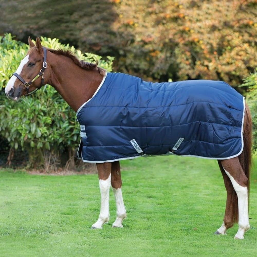 abra22-bi00-amigo-insulator-200g-medium-horse-rug-1_9oe2estyr5wyx8jq.v1 (1)
