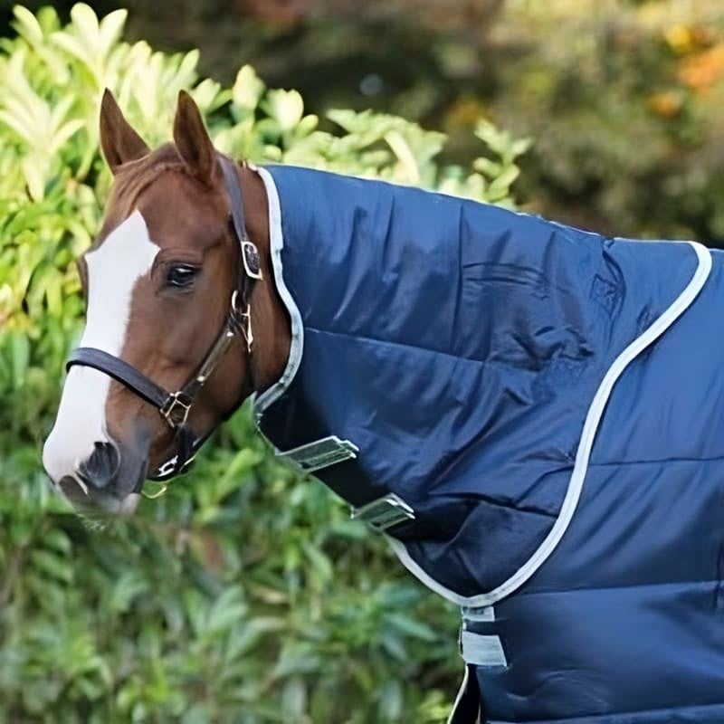 abrd22-bi00-amigo-insulator-plus-med-200g-navy-silver