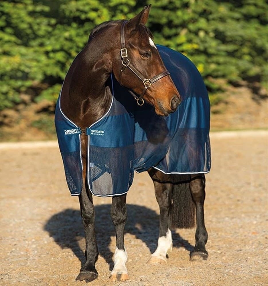 acab24-bbw0-2.v1 (1)