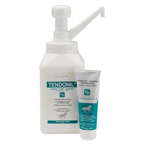 c731d5c3b6063592289b717f07e9bf1b.image.555x555