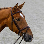 calgary-comb-noseband