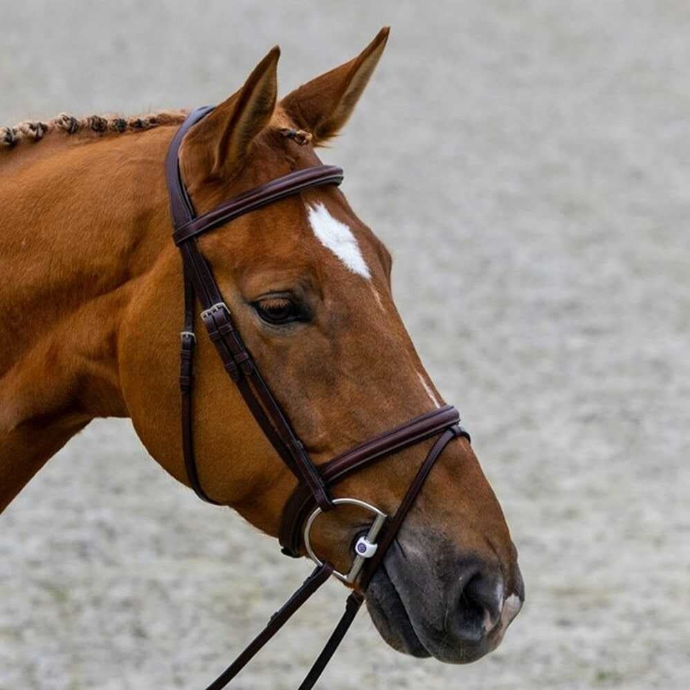 calgary-comb-noseband