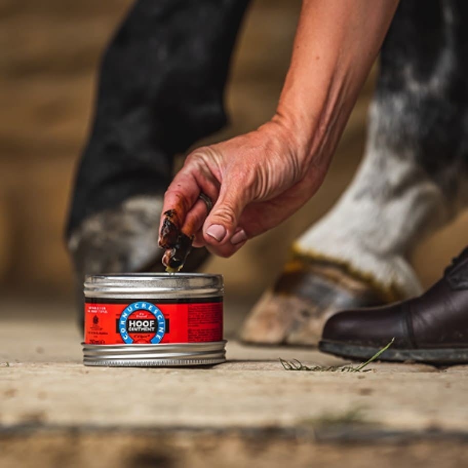 CDM-Website-Images-2.v1 (1)