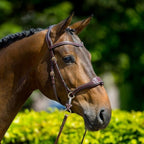 D-Motion-Gekruiste-keelriem-