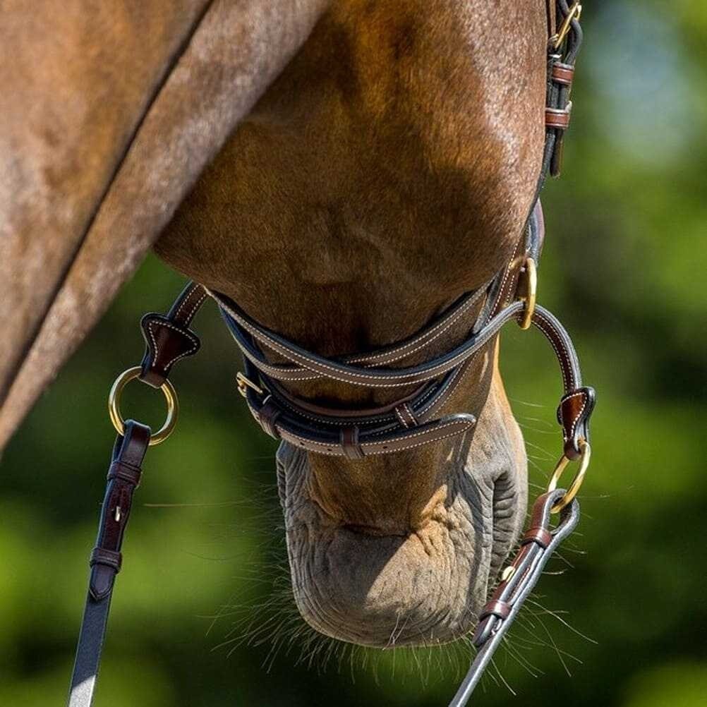 d-motion-gekruiste-keelriem