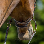 d-motion-gekruiste-keelriem