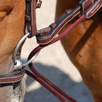 draw-reins-at-bit