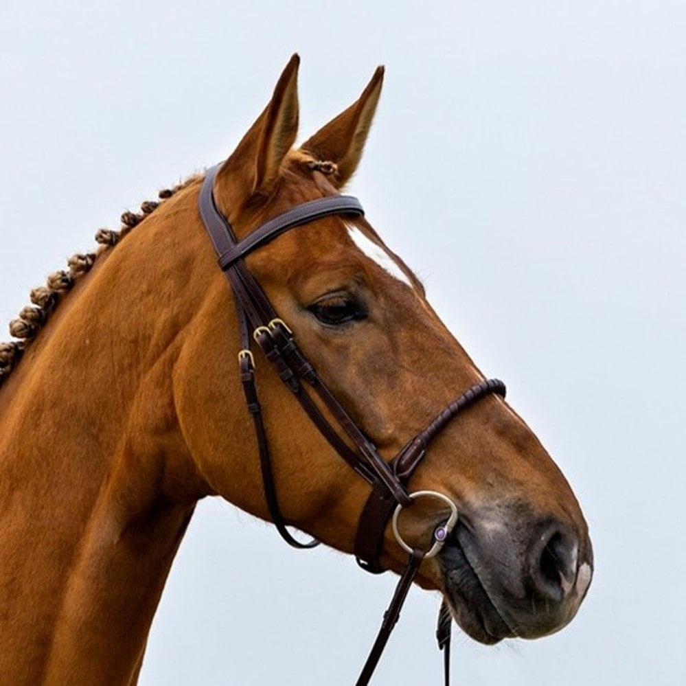Dublin-Leather-Covered-Rope-Noseband-
