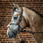 dyaaac_optimized.v1-(1)