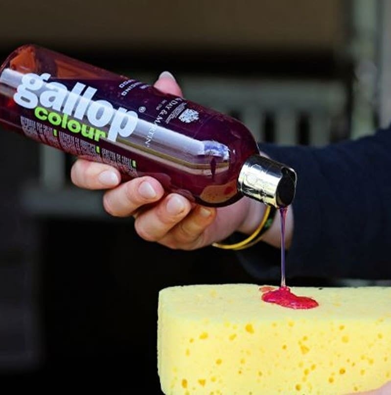 Gallop-Bay-555px-x-560px.v1.cropped