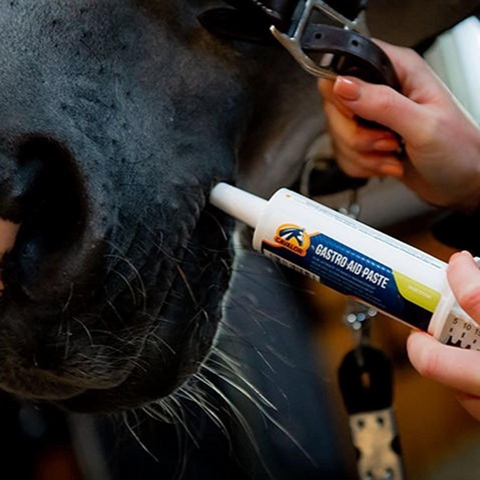 GastroAidPaste2.v1