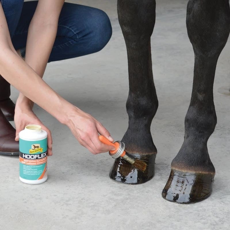 greenhawk-hoo8654 (1)