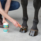 greenhawk-hoo8654 (1)