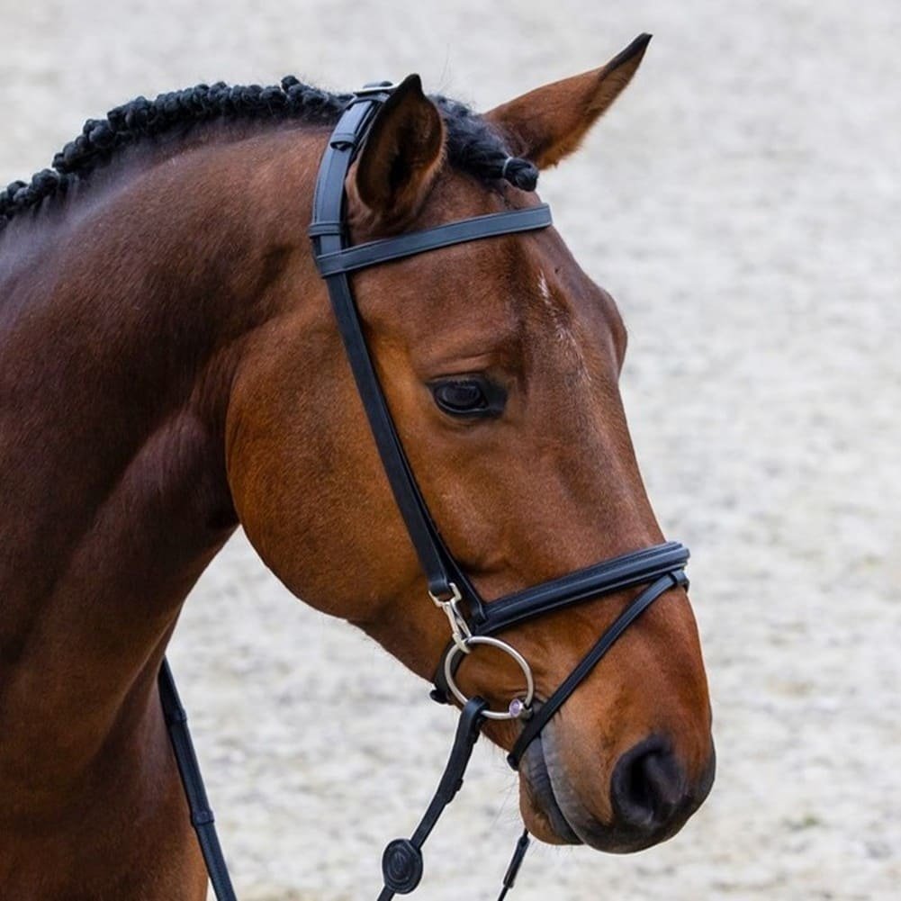 Hamburg-Training-Bridle-incl-Rubb-reins-