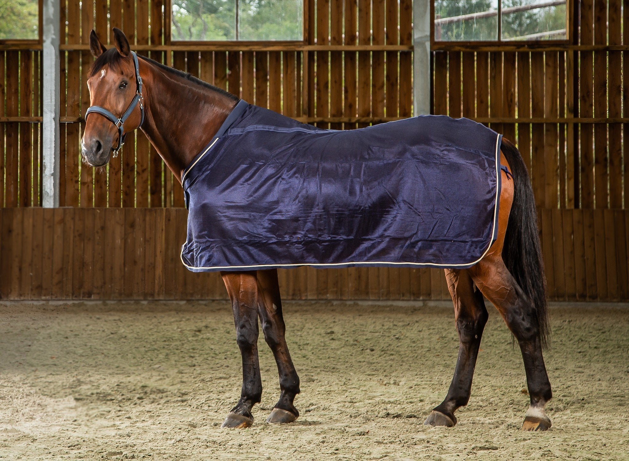 Dy'on Fly Sheet – HorseOnline