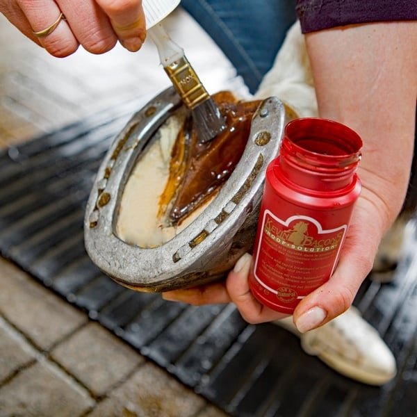 HoofSolutionKevinBacons3