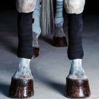 Incrediwear-Equine-Circulation-Bandages-Black (1)