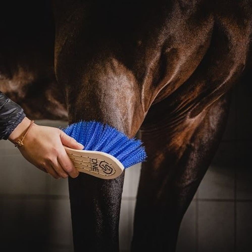 IrisvanMeijlFotografie-4699-768x512.v1