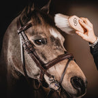 IrisvanMeijlFotografie-4968HR