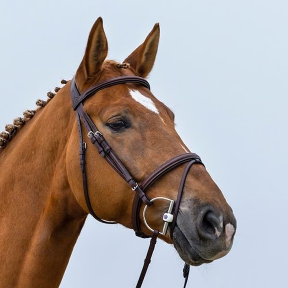 Knokke-Comb-Noseband-3-strap