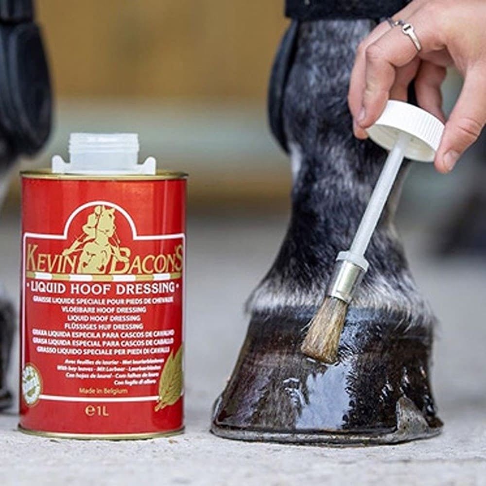 LHD1L_LeMieuxb.v1.v1