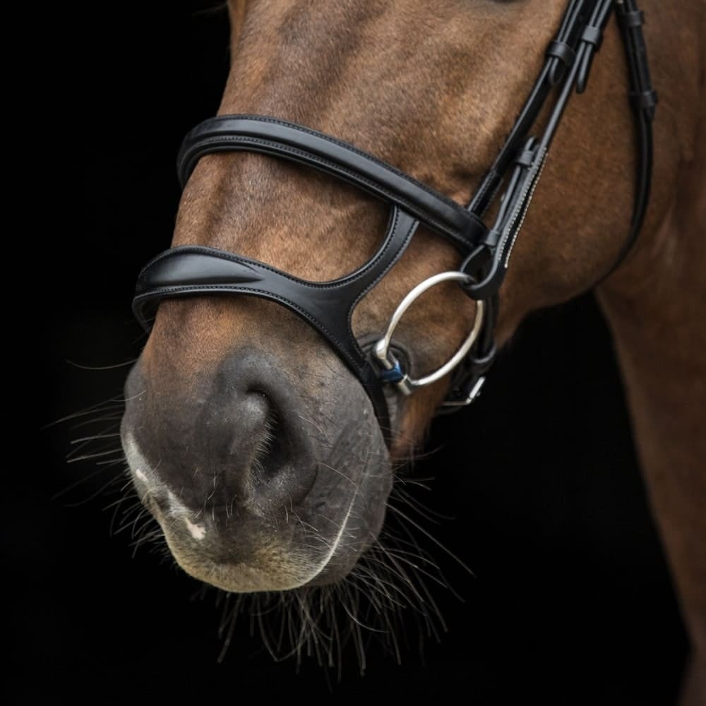 _mediastorage_ljleathers_FSImage_A0_3230_image