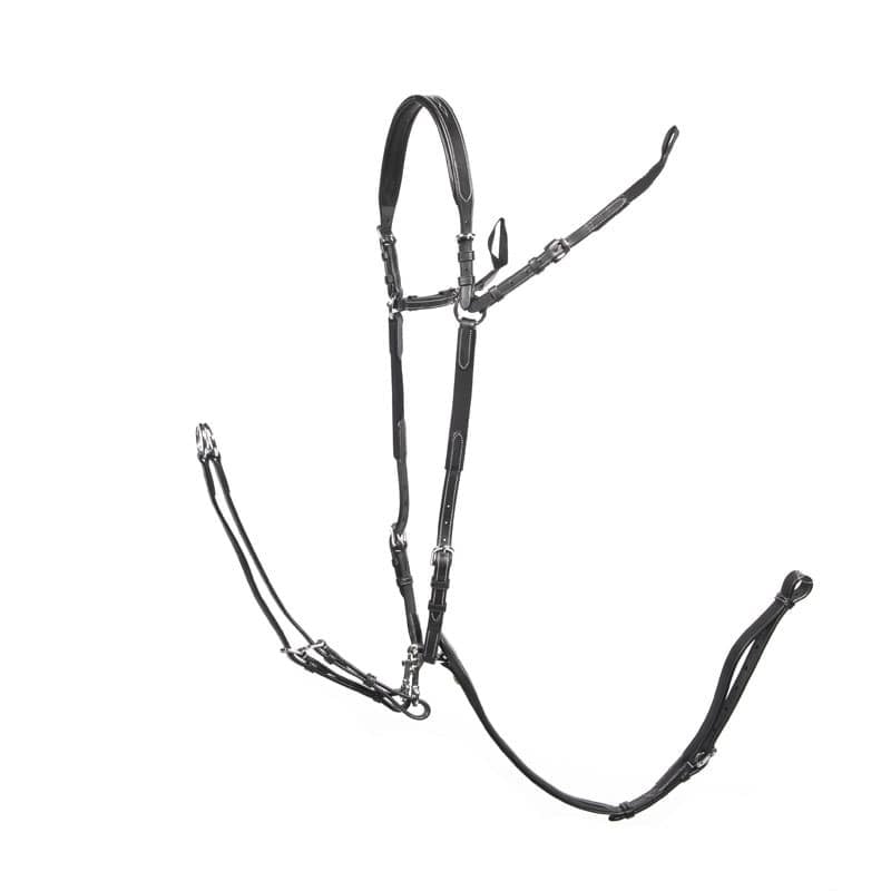 _mediastorage_ljleathers2_FSImage_A0_2724_image