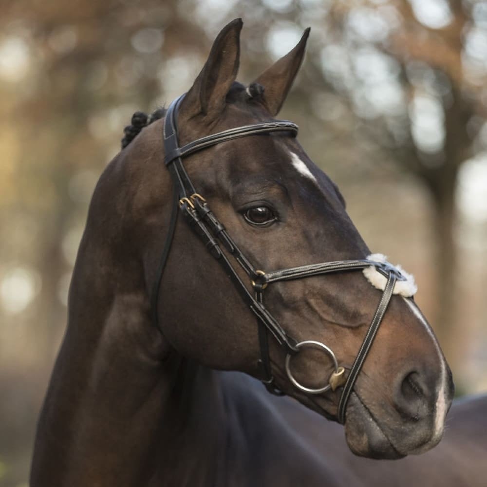 _mediastorage_ljleathers2_FSImage_A0_2762_image