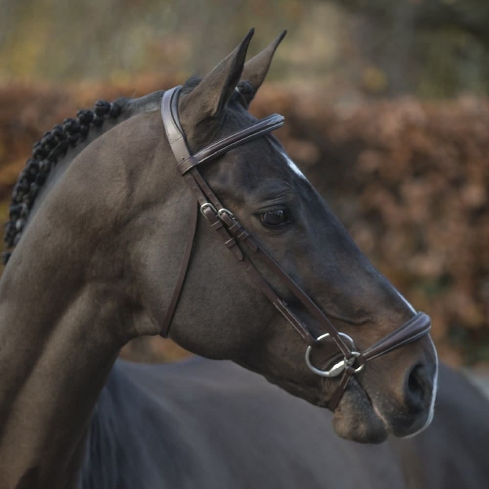 _mediastorage_ljleathers2_FSImage_A0_2771_image