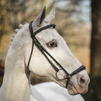 _mediastorage_ljleathers2_FSImage_A0_2772_image