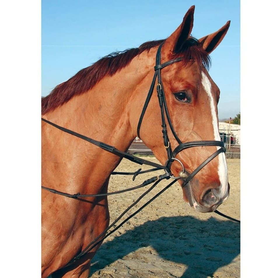 _mediastorage_ljleathers2_FSImage_A0_2798_image.v1 (1) (1)