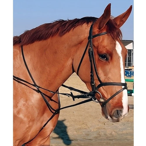 _mediastorage_ljleathers2_FSImage_A0_2799_image-Ct4QKode9-transformed (1)