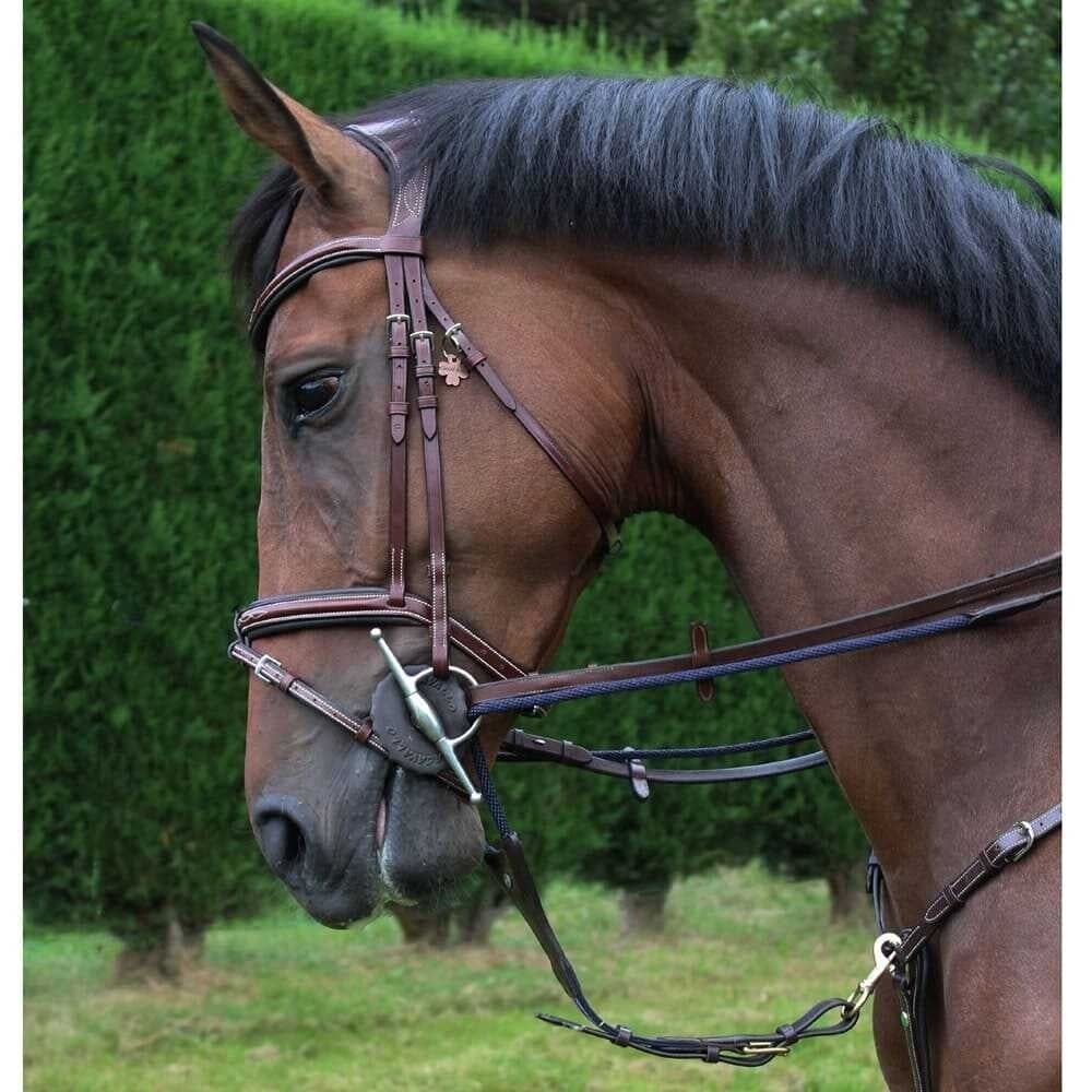 _mediastorage_ljleathers2_fsimage_a0_3229_image_optimized