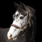 _mediastorage_ljleathers2_FSImage_A0_3553_image