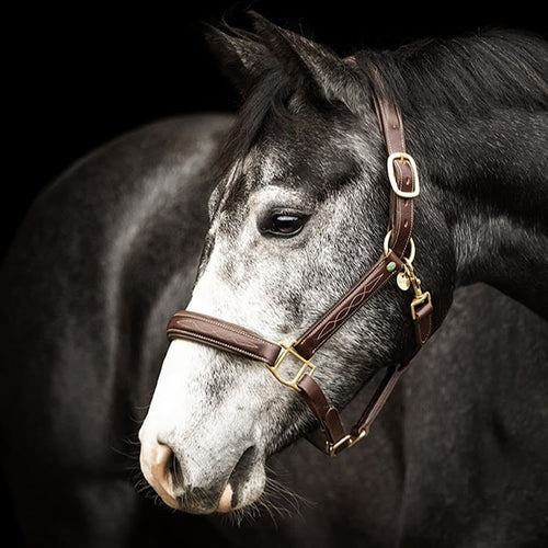 _mediastorage_ljleathers2_FSImage_A0_3554_image.v1