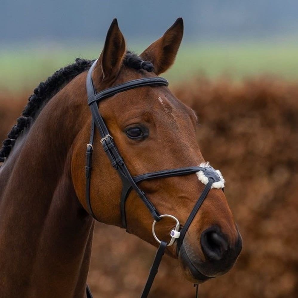 Oslo-mexican-noseband