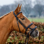 paris-double-noseband
