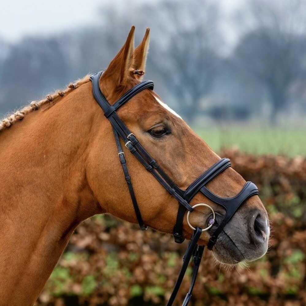 paris-double-noseband
