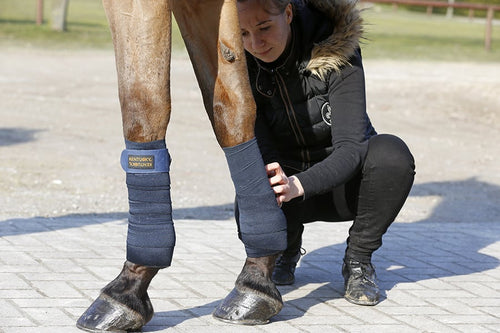 ploar_fleece_en_elastic